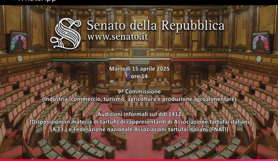 Appuntamento alle 14:00! L’Associazione Tartufai Italiani – ATI al Senato in diretta per il futuro dei tartufai