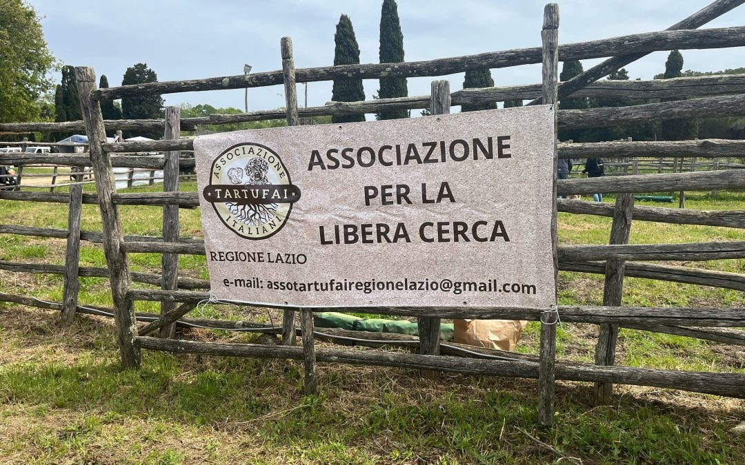 L’Emozione della Cerca: ATI-Associazione Tartufai Italiani Presenta la Gara di Cani da Tartufo alla Festa della Merca