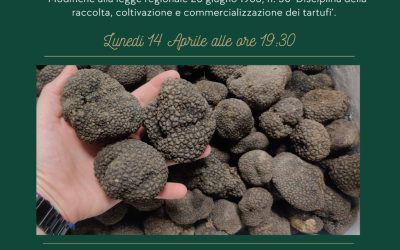 Il Nuovo Scenario dei Tartufi Veneti: Convegno con l’Associazione Tartufai Italiani e Marco Mutta